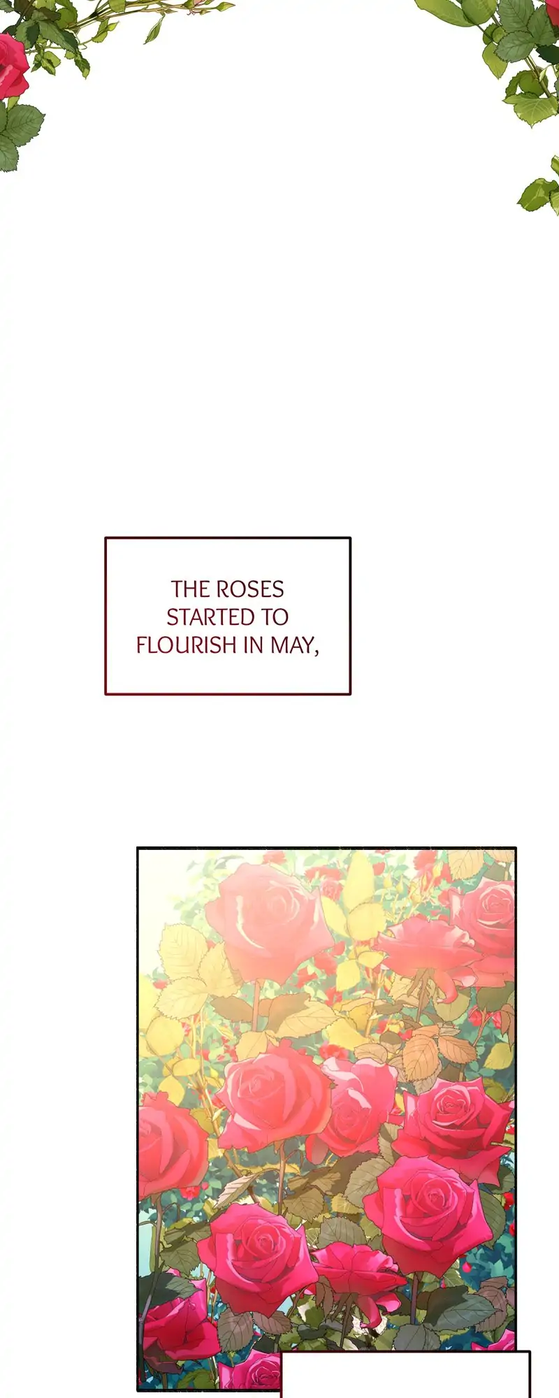 32997765 800 2000 68832